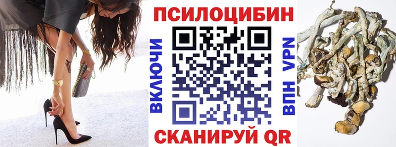 Псилоцибиновые грибы Cubensis  хочу наркоту  Щёлкино 